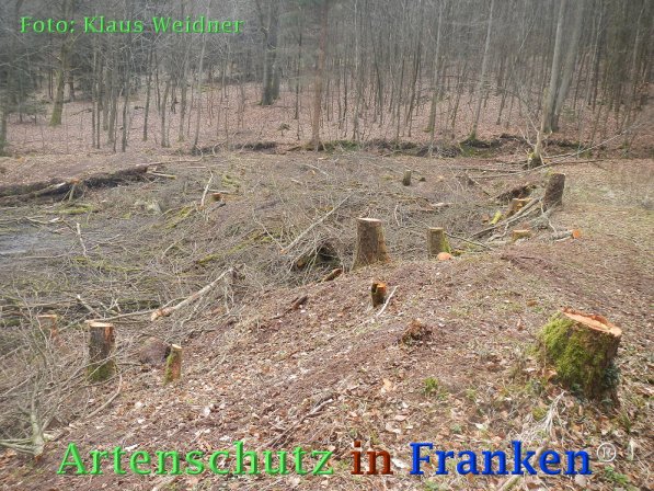 Copyright AiF Klaus Weidner Bild zum Eintrag (73419-160)
