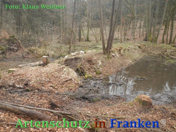 Copyright AiF Klaus Weidner Bild zum Eintrag (73420-160)
