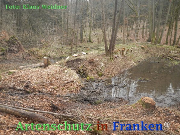 Bild zum Eintrag (73420-160)