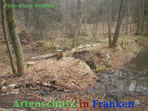 Copyright AiF Klaus Weidner Bild zum Eintrag (73421-160)