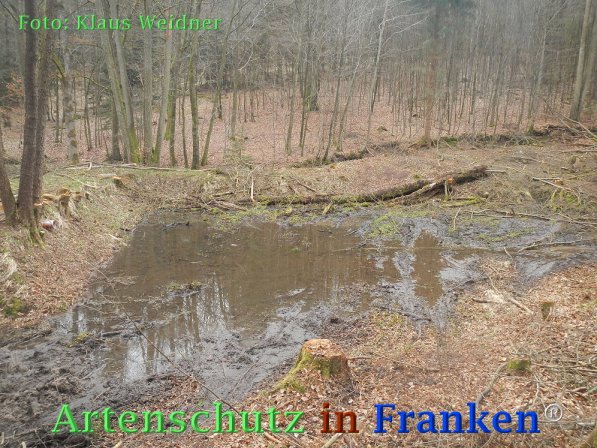 Copyright AiF Klaus Weidner Bild zum Eintrag (73422-160)