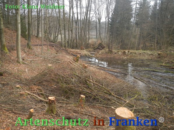 Copyright AiF Klaus Weidner Bild zum Eintrag (73423-160)