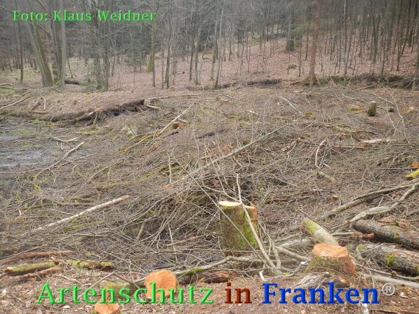 Copyright AiF Klaus Weidner Bild zum Eintrag (73424-160)