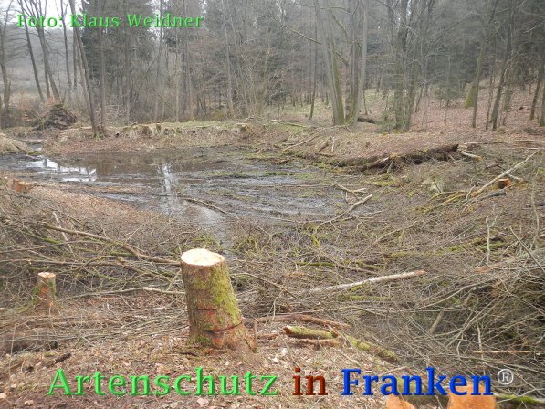 Copyright AiF Klaus Weidner Bild zum Eintrag (73425-160)