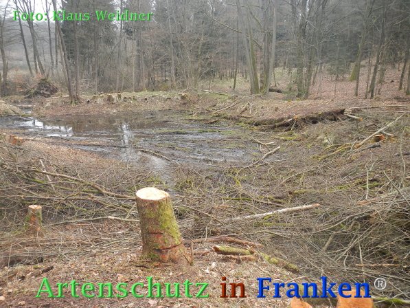 Bild zum Eintrag (73425-160)