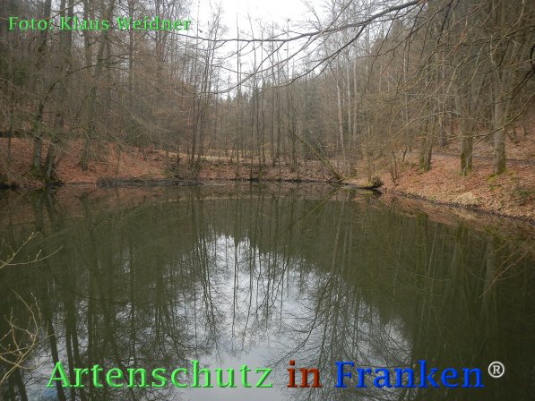 Copyright AiF Klaus Weidner Bild zum Eintrag (73434-160)