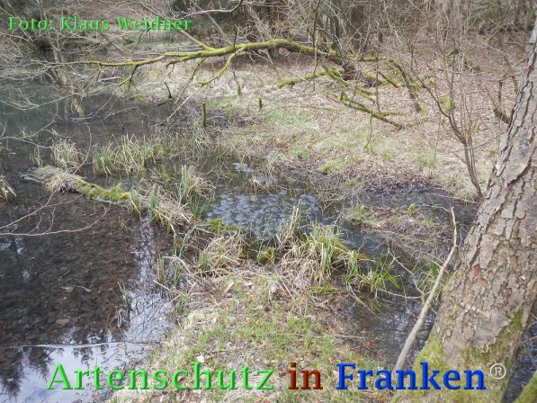 Copyright AiF Klaus Weidner Bild zum Eintrag (73435-160)
