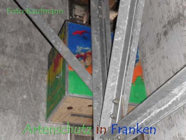 Copyright AiF Kaufmann Bild zum Eintrag (73528-160)
