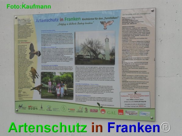 Bild zum Eintrag (73656-160)