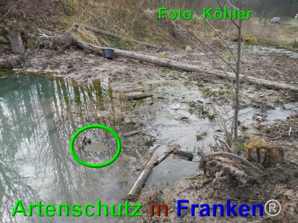 Copyright AiF Thomas Köhler Bild zum Eintrag (73665-160)