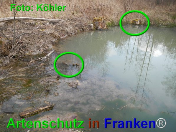 Copyright AiF Thomas Köhler Bild zum Eintrag (73666-160)