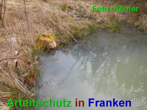 Copyright AiF Thomas Köhler Bild zum Eintrag (73667-160)
