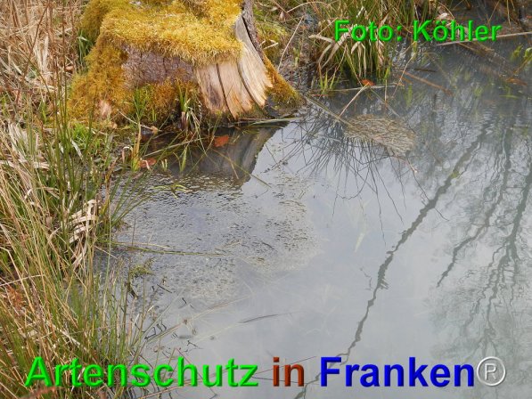 Copyright AiF Thomas Köhler Bild zum Eintrag (73668-160)