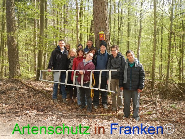 © Artenschutz in Franken® Bild zum Eintrag (73848-160)