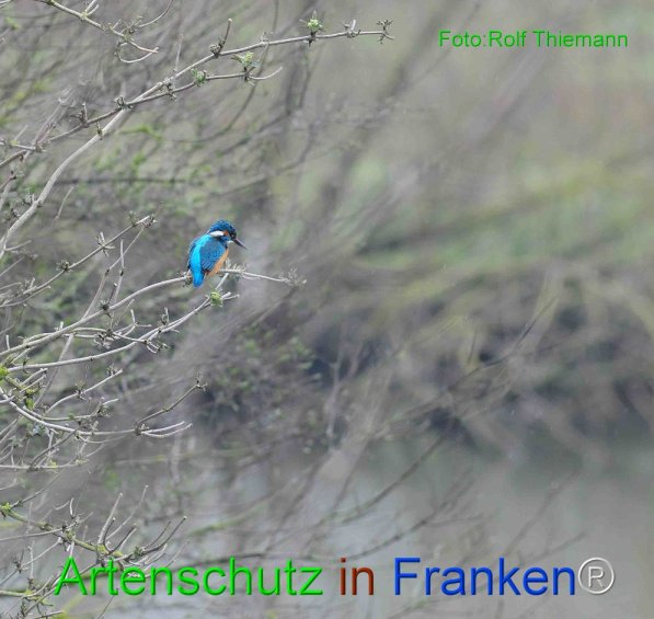 Bild zum Eintrag (73859-160)