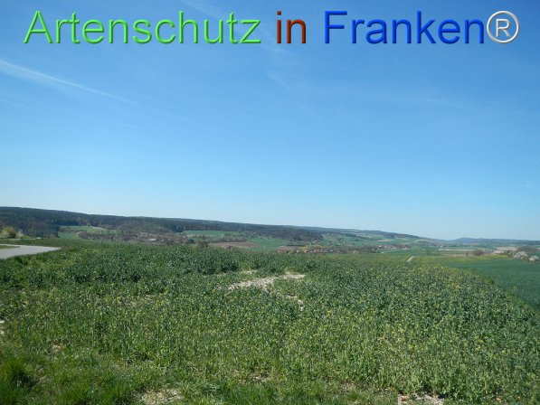 Bild zum Eintrag (73887-160)