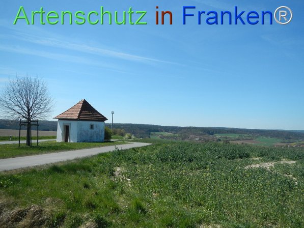 Bild zum Eintrag (73888-160)