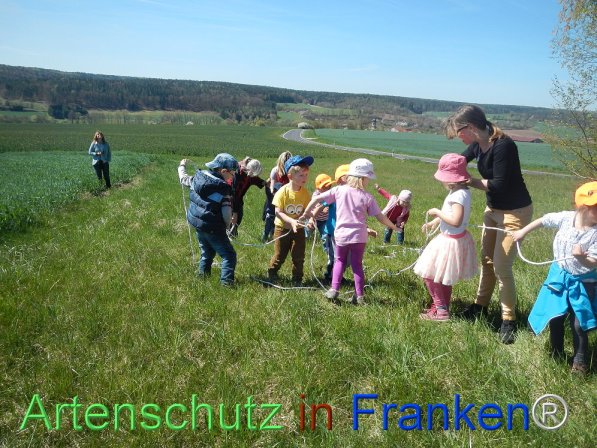 Bild zum Eintrag (73894-160)