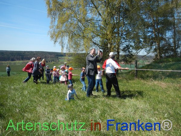 Bild zum Eintrag (73896-160)