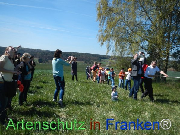 Bild zum Eintrag (73897-160)