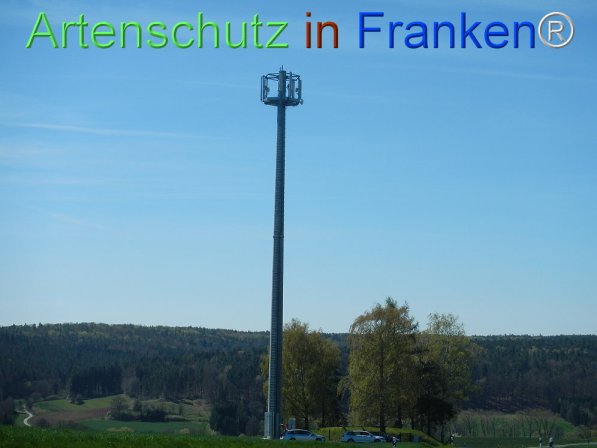 Bild zum Eintrag (73898-160)