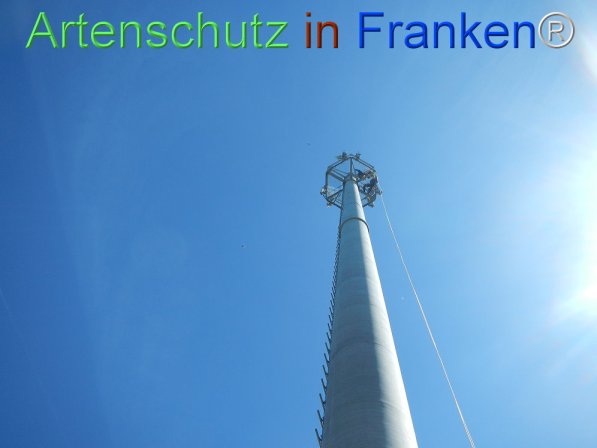 Bild zum Eintrag (73899-160)