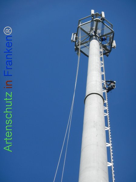 Bild zum Eintrag (73900-160)