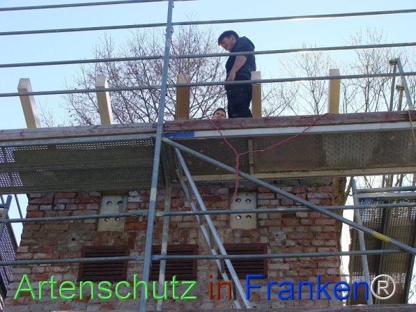 Copyright AiF Umweltamt der Stadt Suhl Bild zum Eintrag (73911-160)