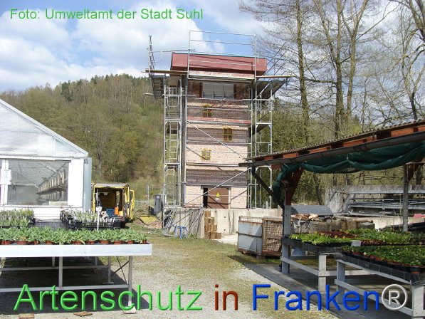 Copyright AiF Umweltamt der Stadt Suhl Bild zum Eintrag (73940-160)