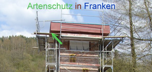 Copyright AiF Umweltamt der Stadt Suhl Bild zum Eintrag (73942-160)