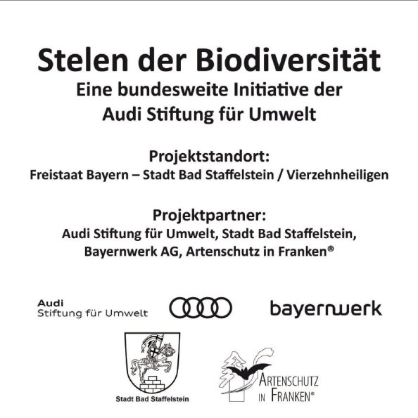 Bild zum Eintrag (74005-160)