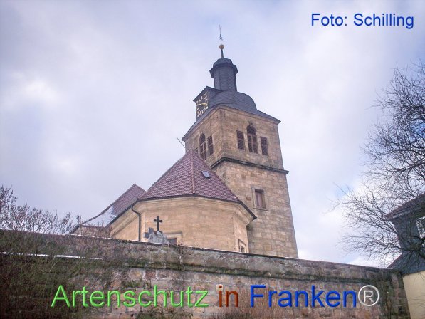 Copyright AiF Schilling Bild zum Eintrag (74121-160)