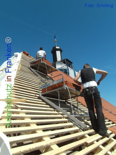Copyright AiF Schilling Bild zum Eintrag (74127-160)