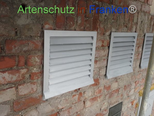 Copyright AiF Umweltamt der Stadt Suhl Bild zum Eintrag (74164-160)