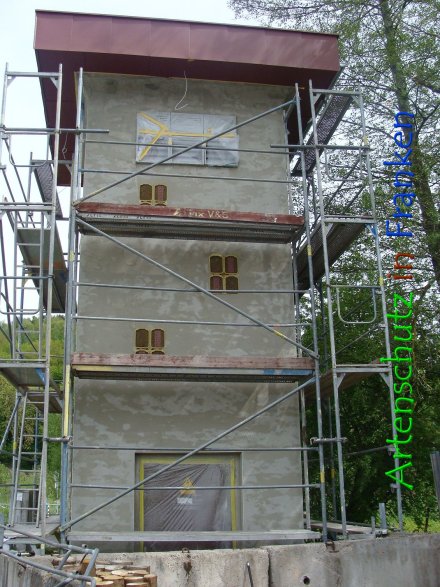 © Artenschutz in Franken® Bild zum Eintrag (74374-160)
