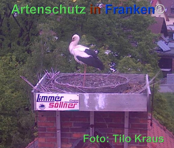 Copyright AiF - Tilo Kraus Bild zum Eintrag (74504-160)