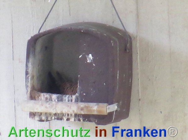 Bild zum Eintrag (74561-160)