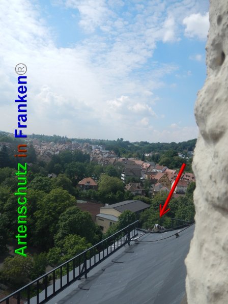 Bild zum Eintrag (74621-160)