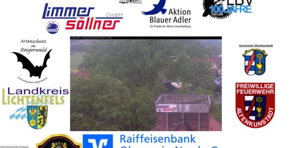 Copyright AiF Webcam Bild zum Eintrag (74633-160)
