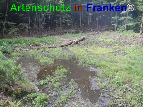 Bild zum Eintrag (74670-160)