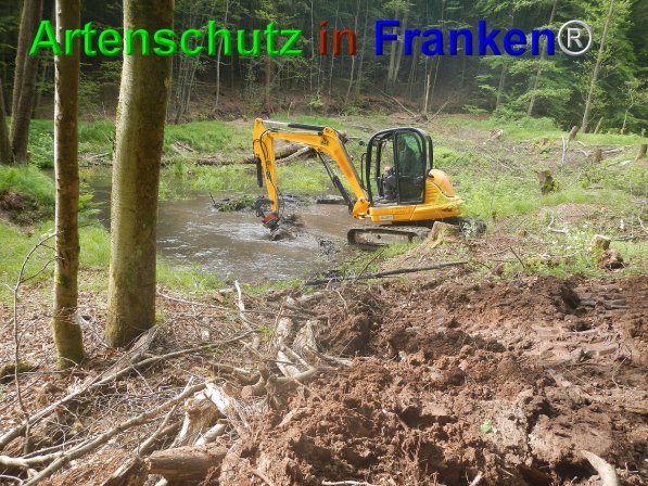 Bild zum Eintrag (74673-160)