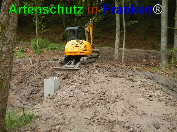 Bild zum Eintrag (74674-160)