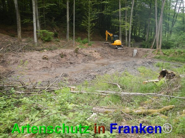 Bild zum Eintrag (74676-160)