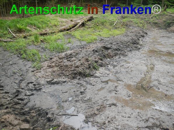 Bild zum Eintrag (74685-160)