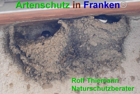 Copyright AiF Rolf Thiemann Bild zum Eintrag (74694-160)