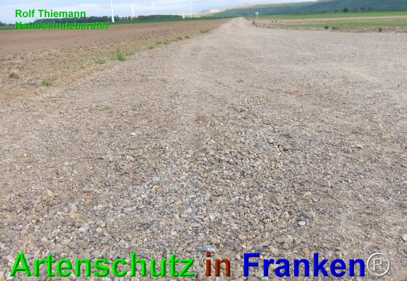 Copyright AiF Rolf Thiemann Bild zum Eintrag (74695-160)