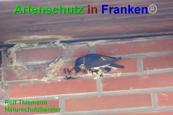 Copyright AiF Rolf Thiemann Bild zum Eintrag (74697-160)