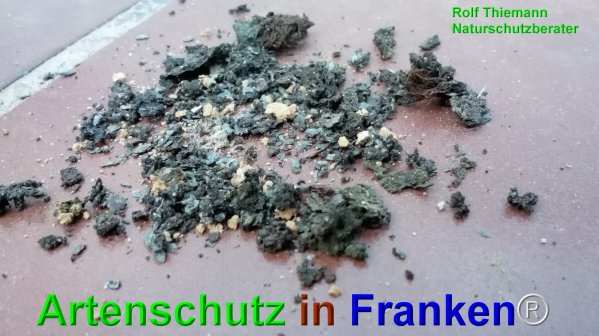Copyright AiF Rolf Thiemann Bild zum Eintrag (74698-160)