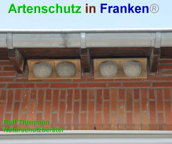 Copyright AiF Rolf Thiemann Bild zum Eintrag (74700-160)