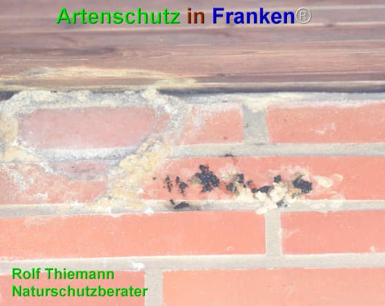Copyright AiF Rolf Thiemann Bild zum Eintrag (74701-160)